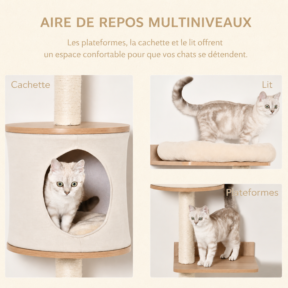 Arbre à Chat Mural avec Grattoir et Coussin