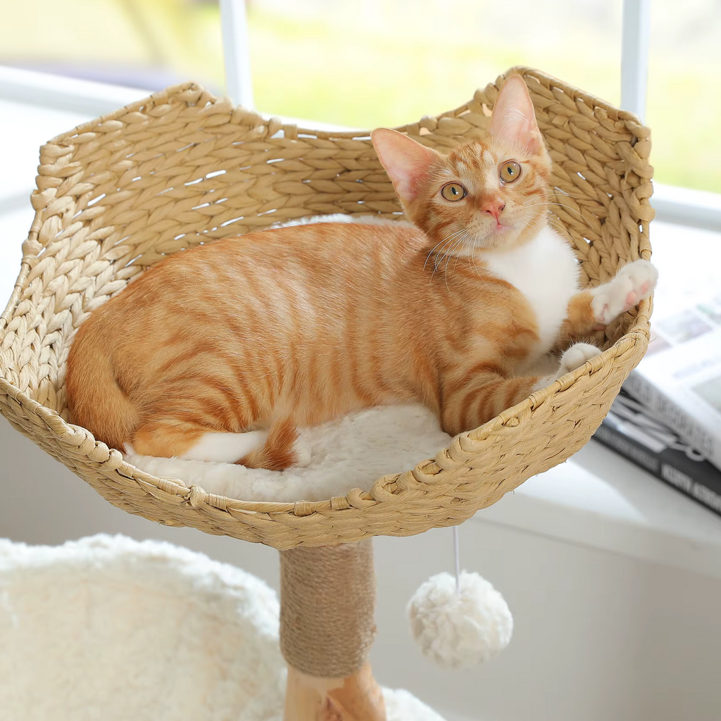 Arbre à Chat Design en Forme de Fleur – Le Félin’trépide