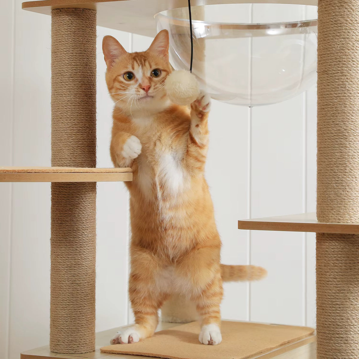 Grand Arbre à Chat en Bois pour Maine Coon – Le Félin pour l’autre