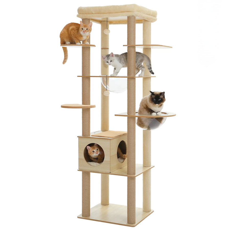 Grand Arbre à Chat Maine Coon 180 cm en Bois – Le Félin pour l’autre