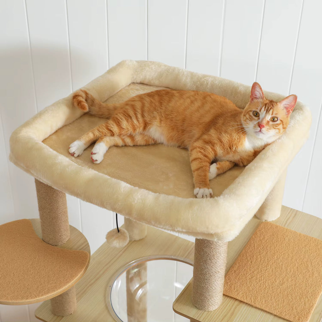 Grand Arbre à Chat en Bois pour Maine Coon – Le Félin pour l’autre