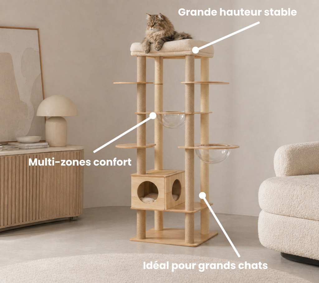 Grand Arbre à Chat en Bois pour Maine Coon – Le Félin pour l’autre