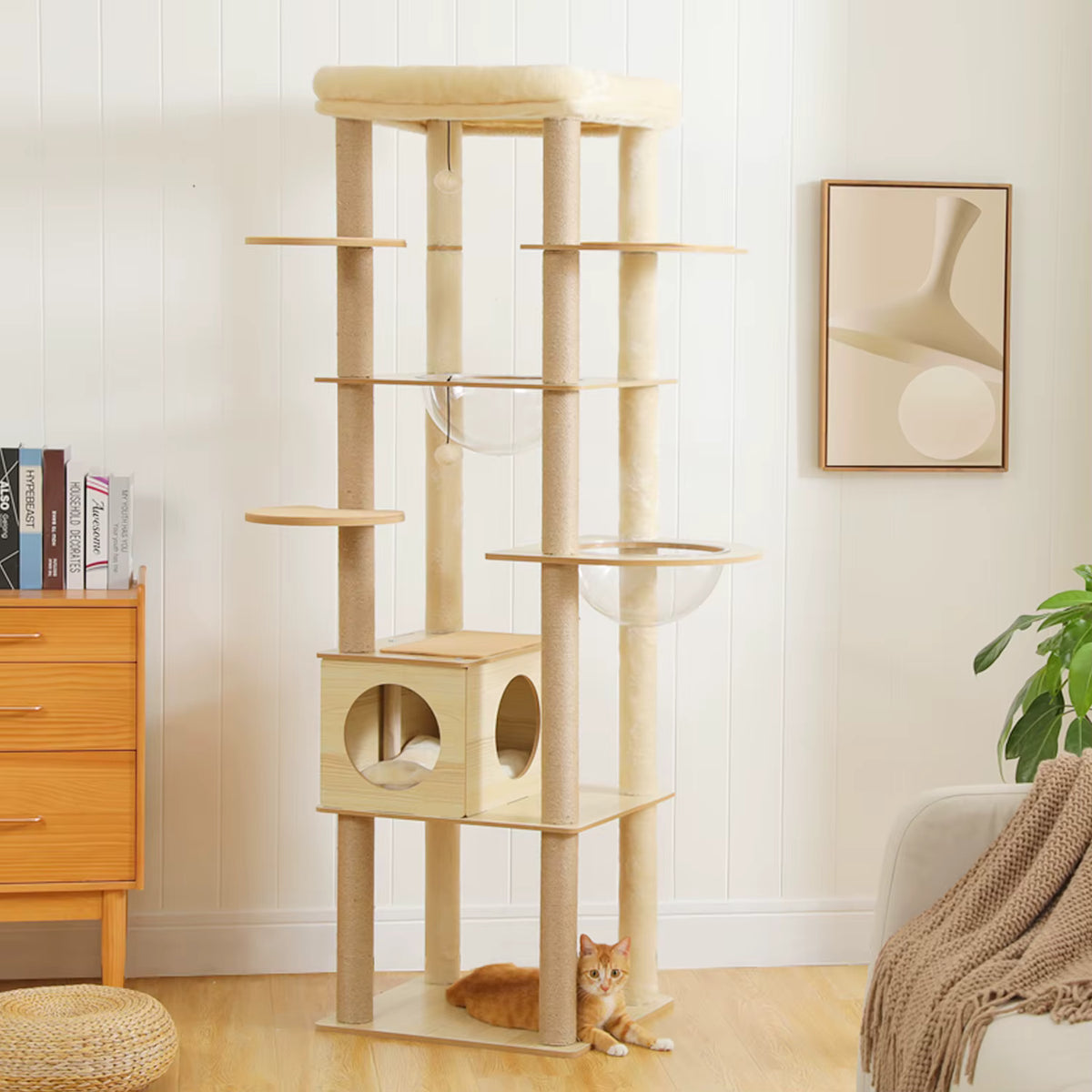 Grand Arbre à Chat en Bois pour Maine Coon – Le Félin pour l’autre