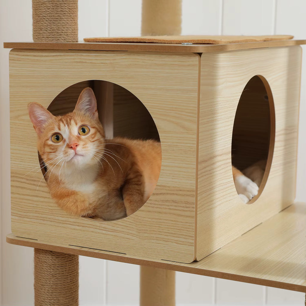 Grand Arbre à Chat en Bois pour Maine Coon – Le Félin pour l’autre