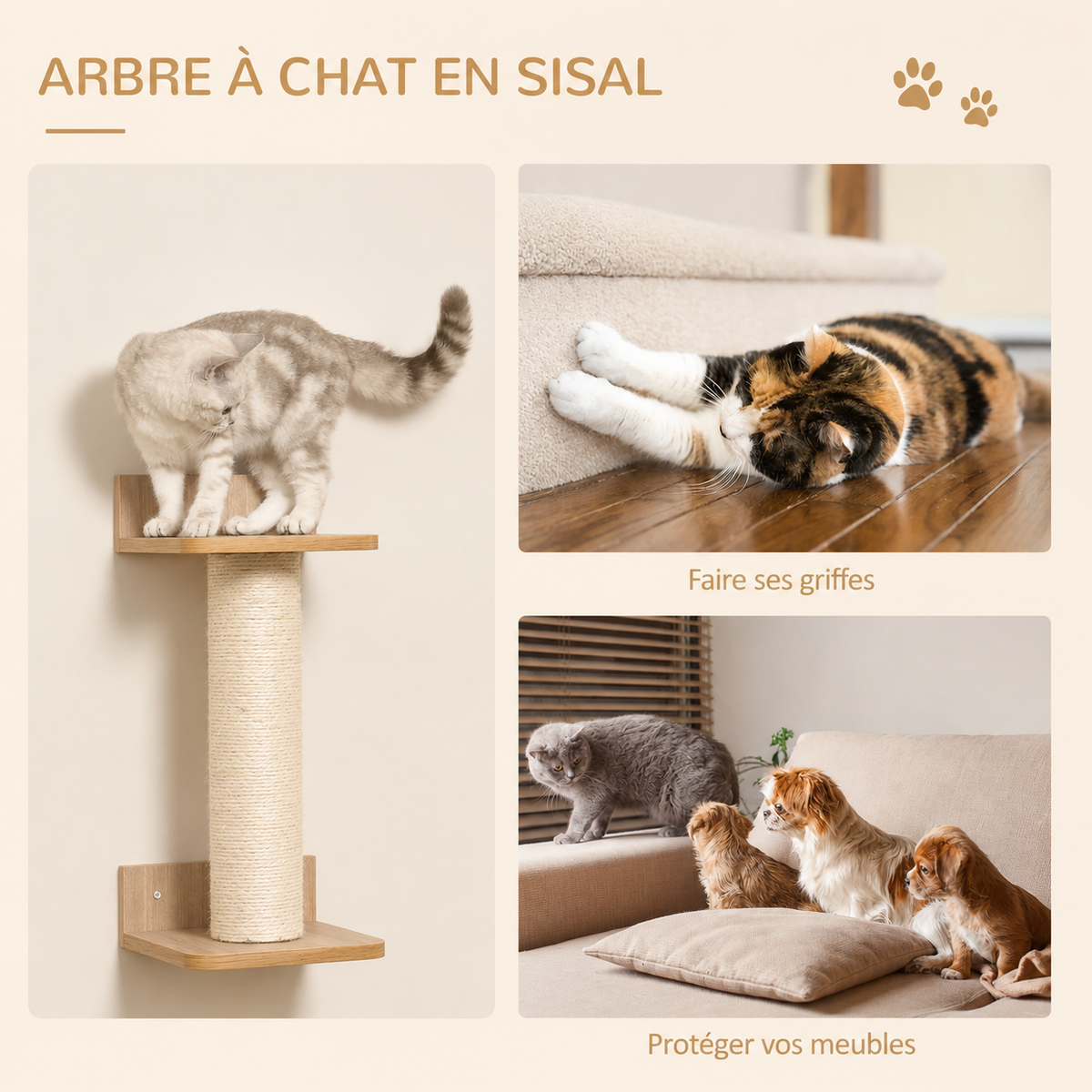 Arbre à Chat Mural en Bois avec Hamac et Passerelle