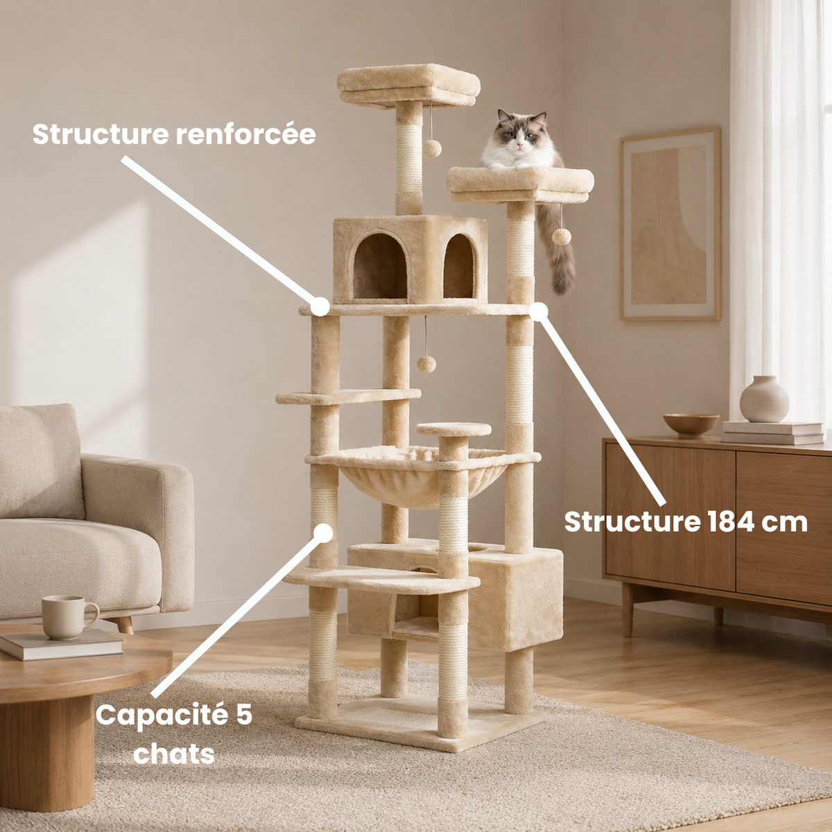grand arbre à chat