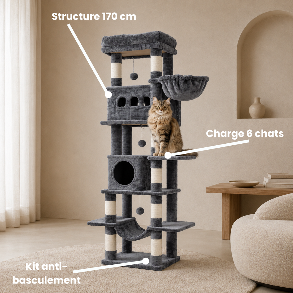 grand arbre à chat maine coon gris