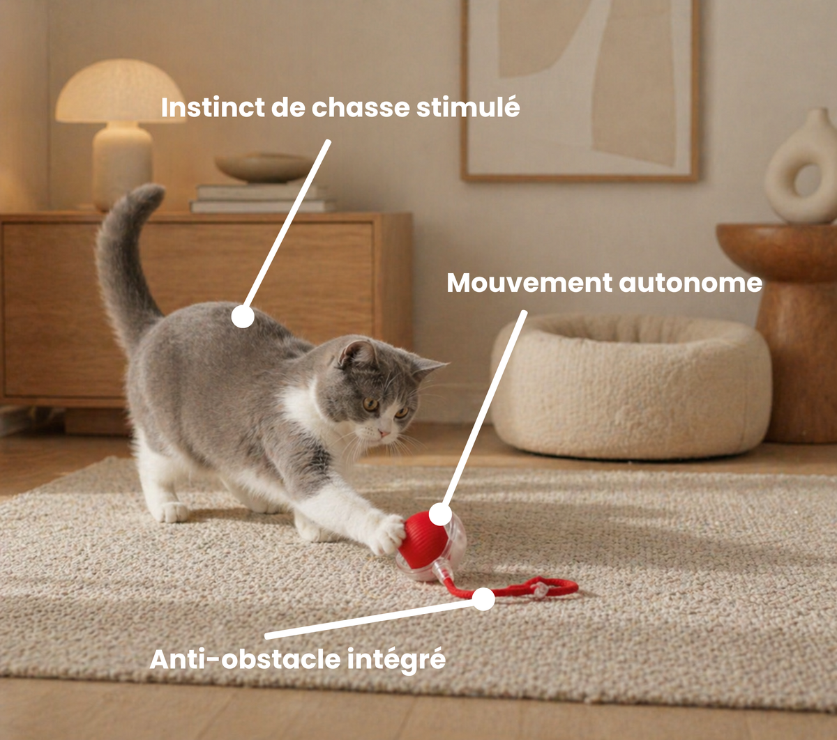 Jouet Interactif Rechargeable pour Chat