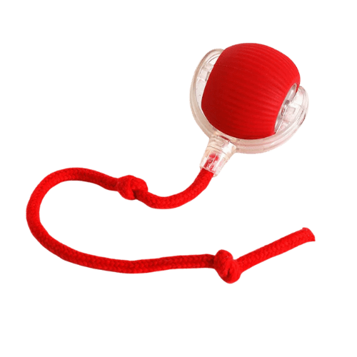 Jouet Interactif Rechargeable pour Chat