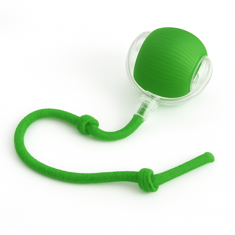Jouet Interactif Rechargeable pour Chat
