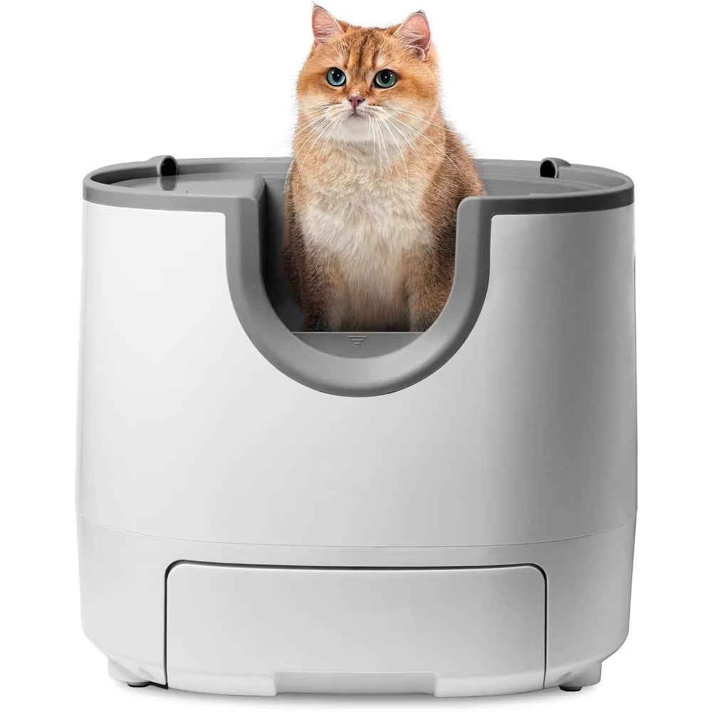 Litière Automatique Ouverte Autonettoyante pour Chat – Chat’fait plaisir