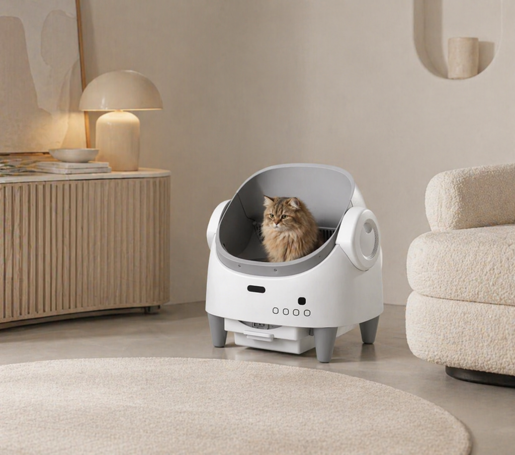 Litière Automatique Silencieuse pour Chat – Chat’dore