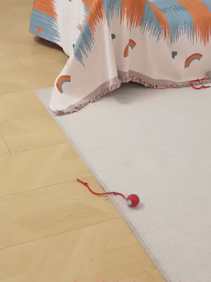 Jouet Interactif Rechargeable pour Chat
