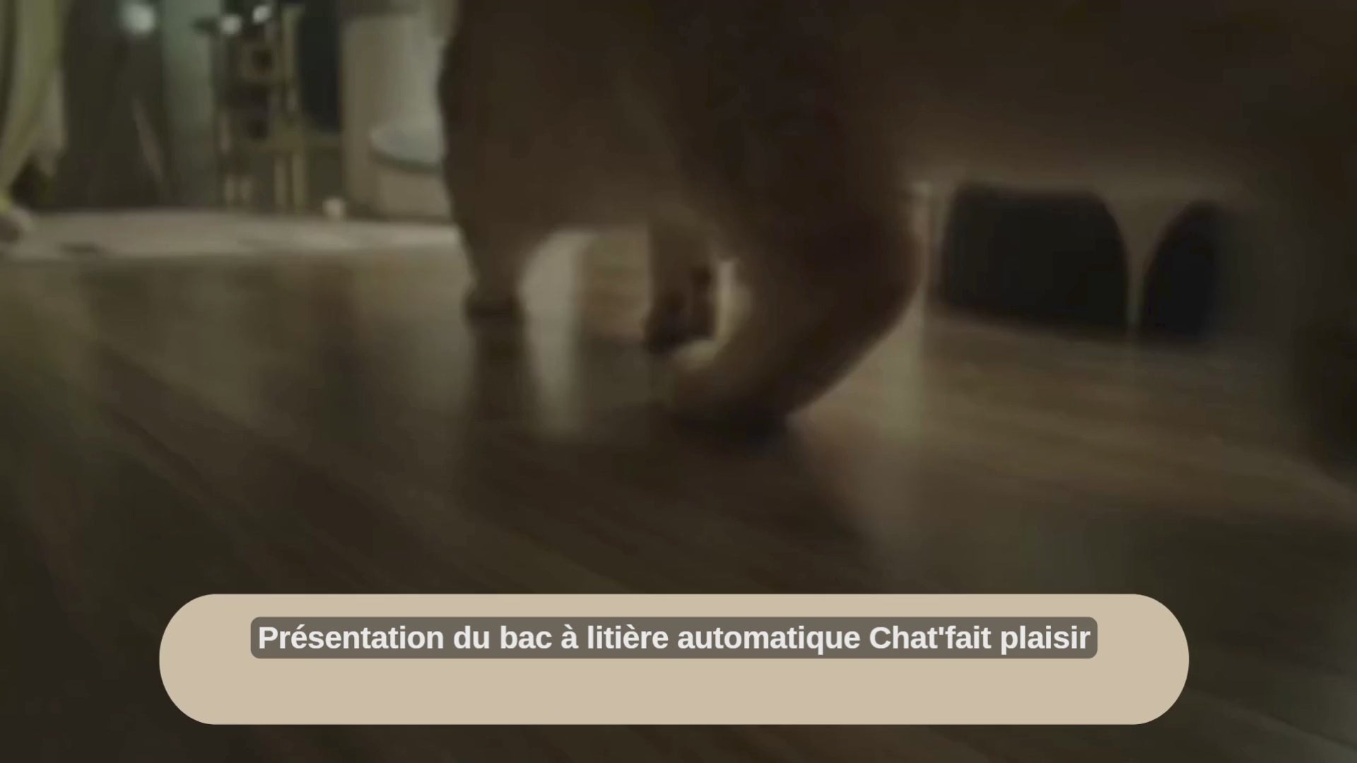 Vidéo